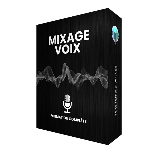 Formation Mixage Voix