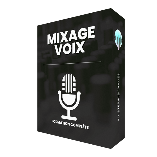 Formation Mixage Voix